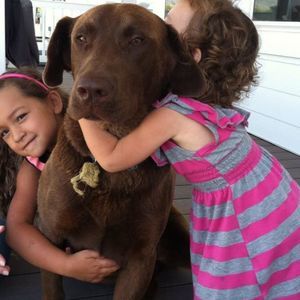 Meet your Posher, Erick